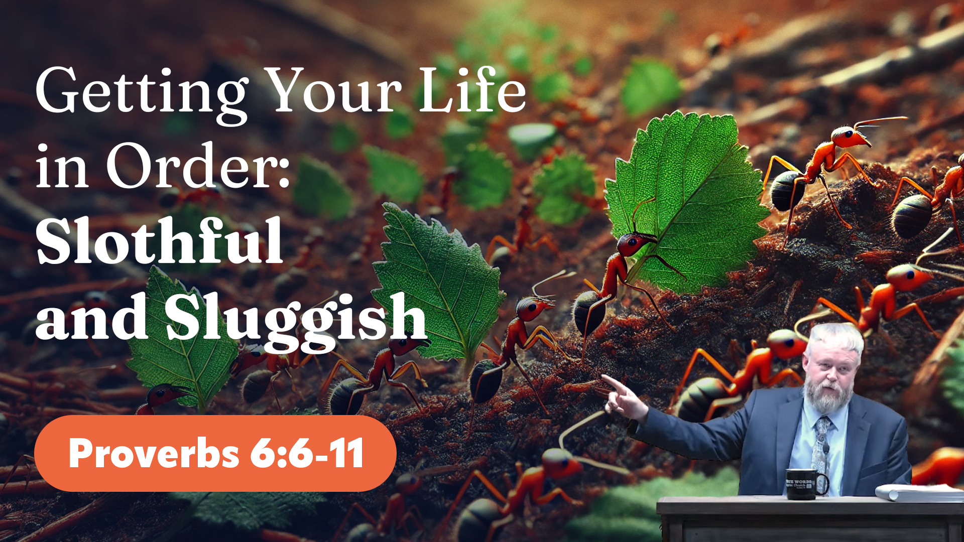 Getting Your Life in Order: Slothful and Sluggish