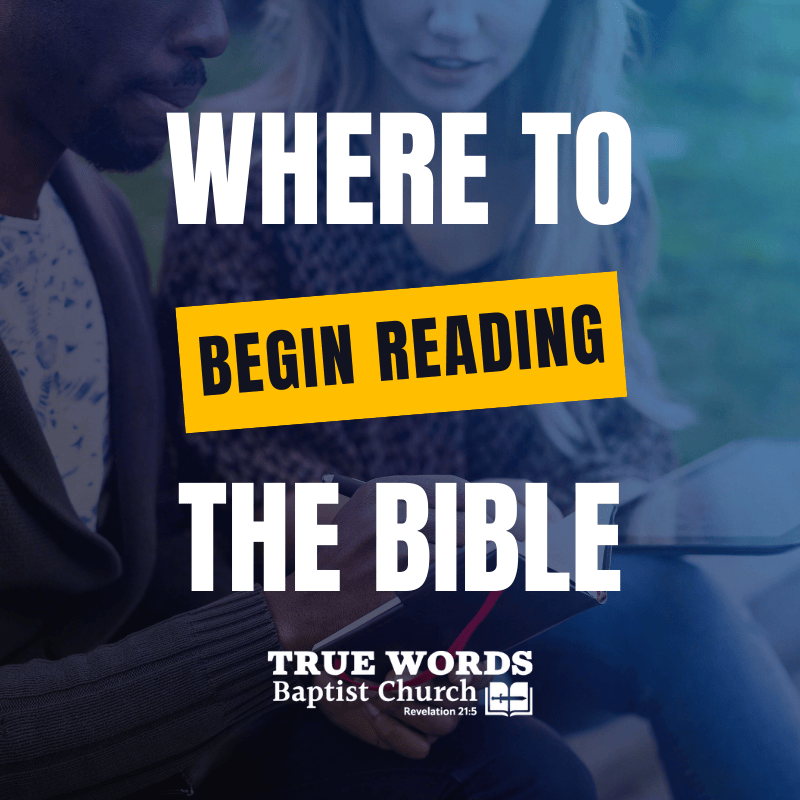 where to begin reading the bible