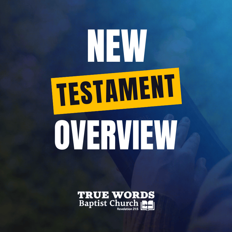 new testament overview
