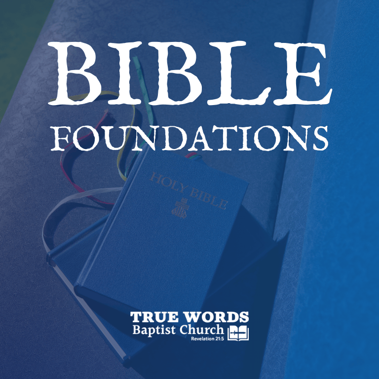 KJV bible study hub Bible foundations for believers