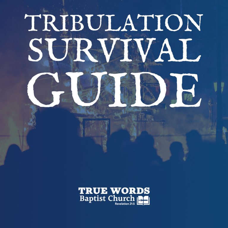 tribulation survival guide