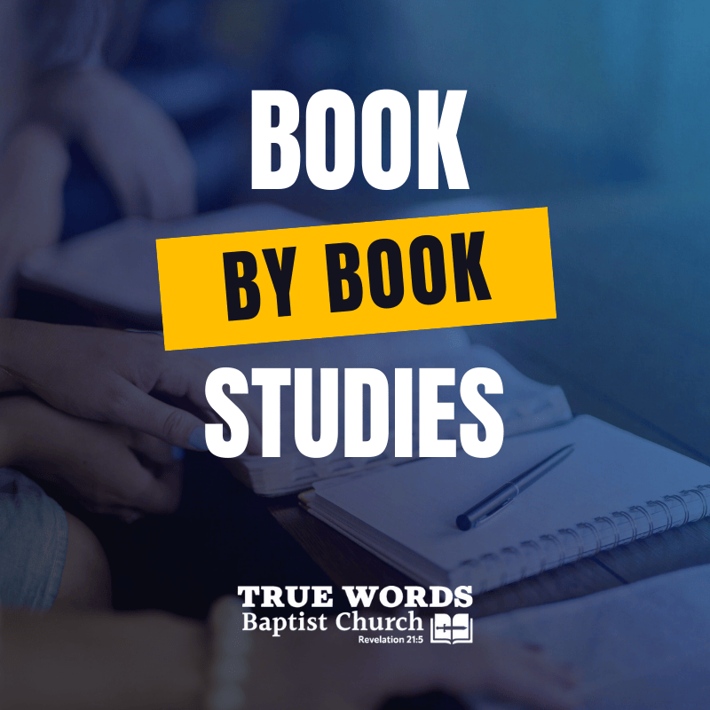 new testament book by book studies