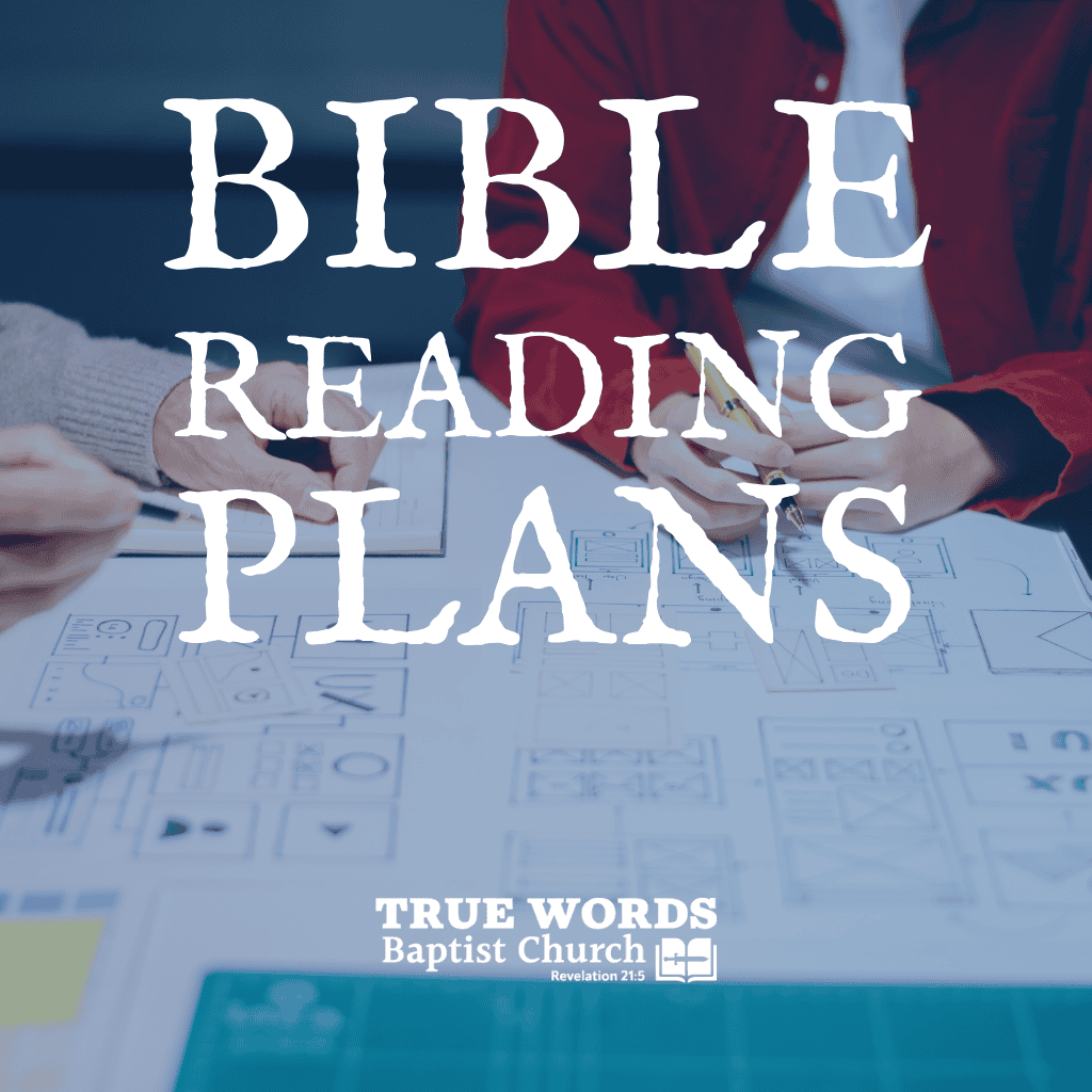 bible reading plans