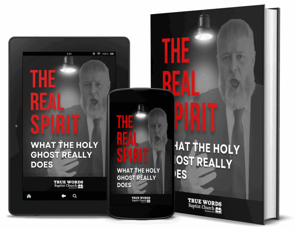 the real spirit - one of the free bonus bible study guides