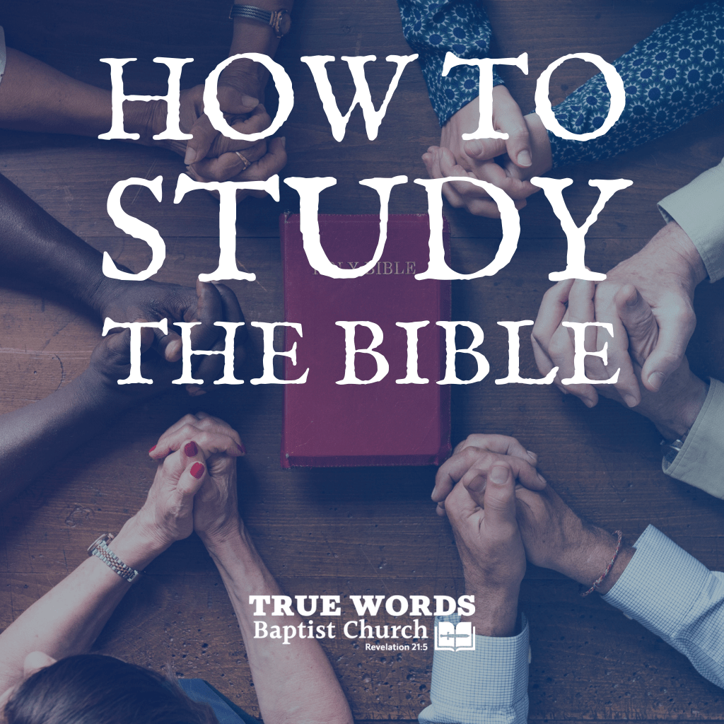 how to study the bible in bible basics for beginners