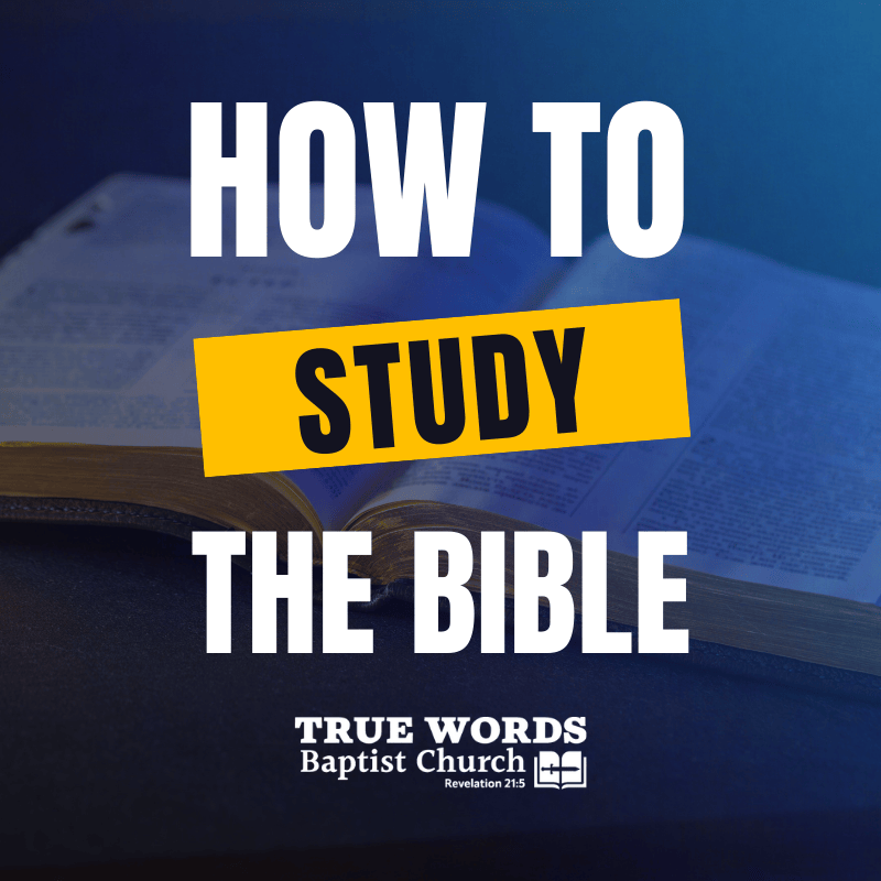 how to study the bible