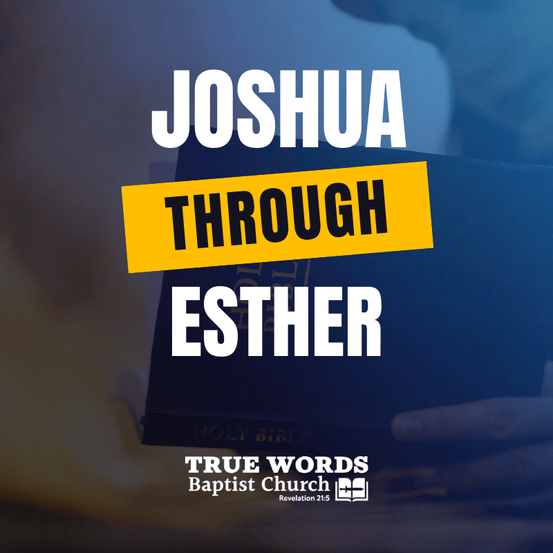 joshua through esther