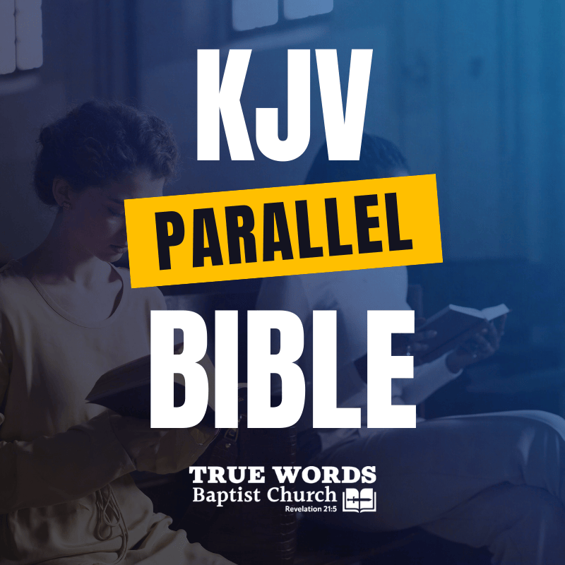 kjv parallel bible