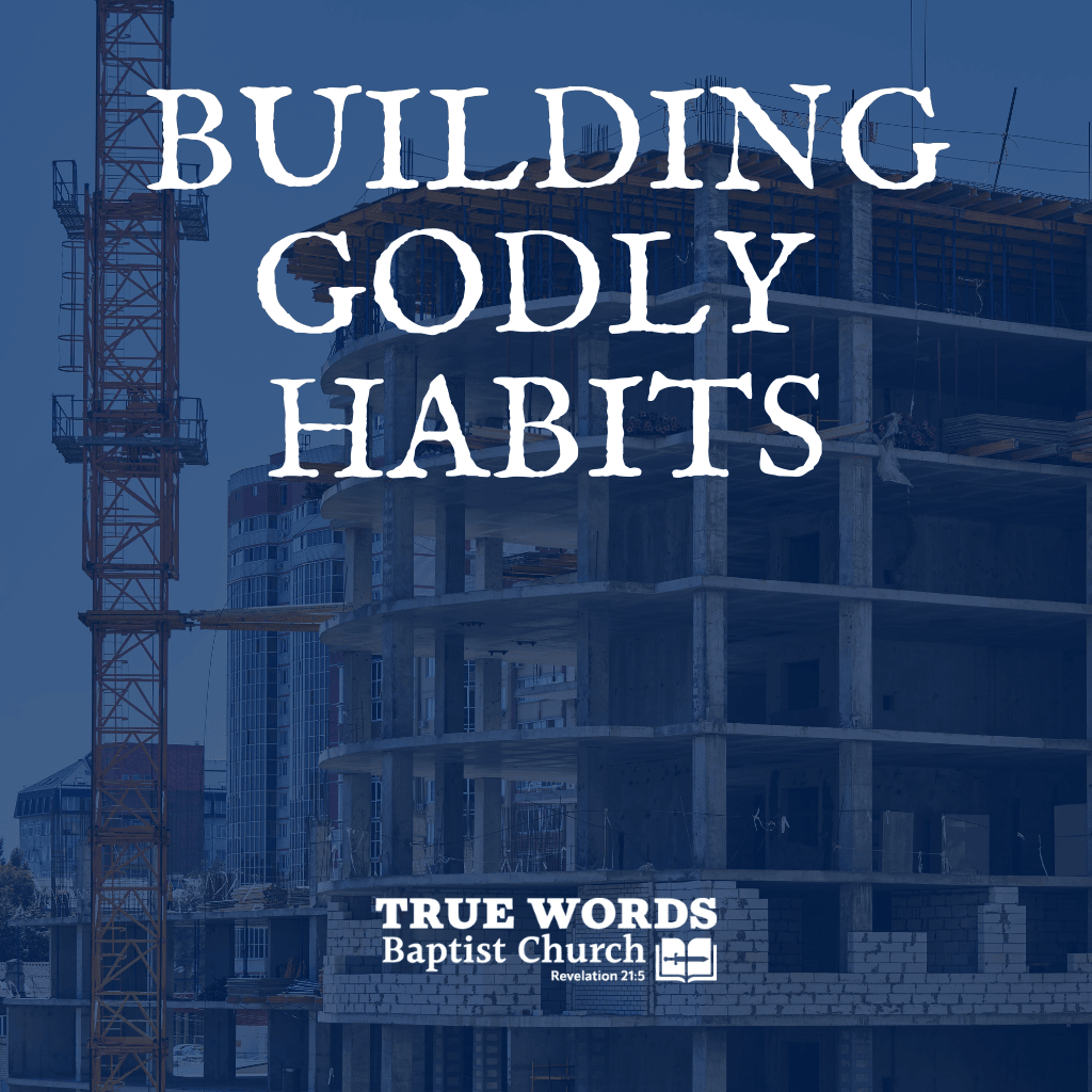 Building Godly Habits (KJV)
