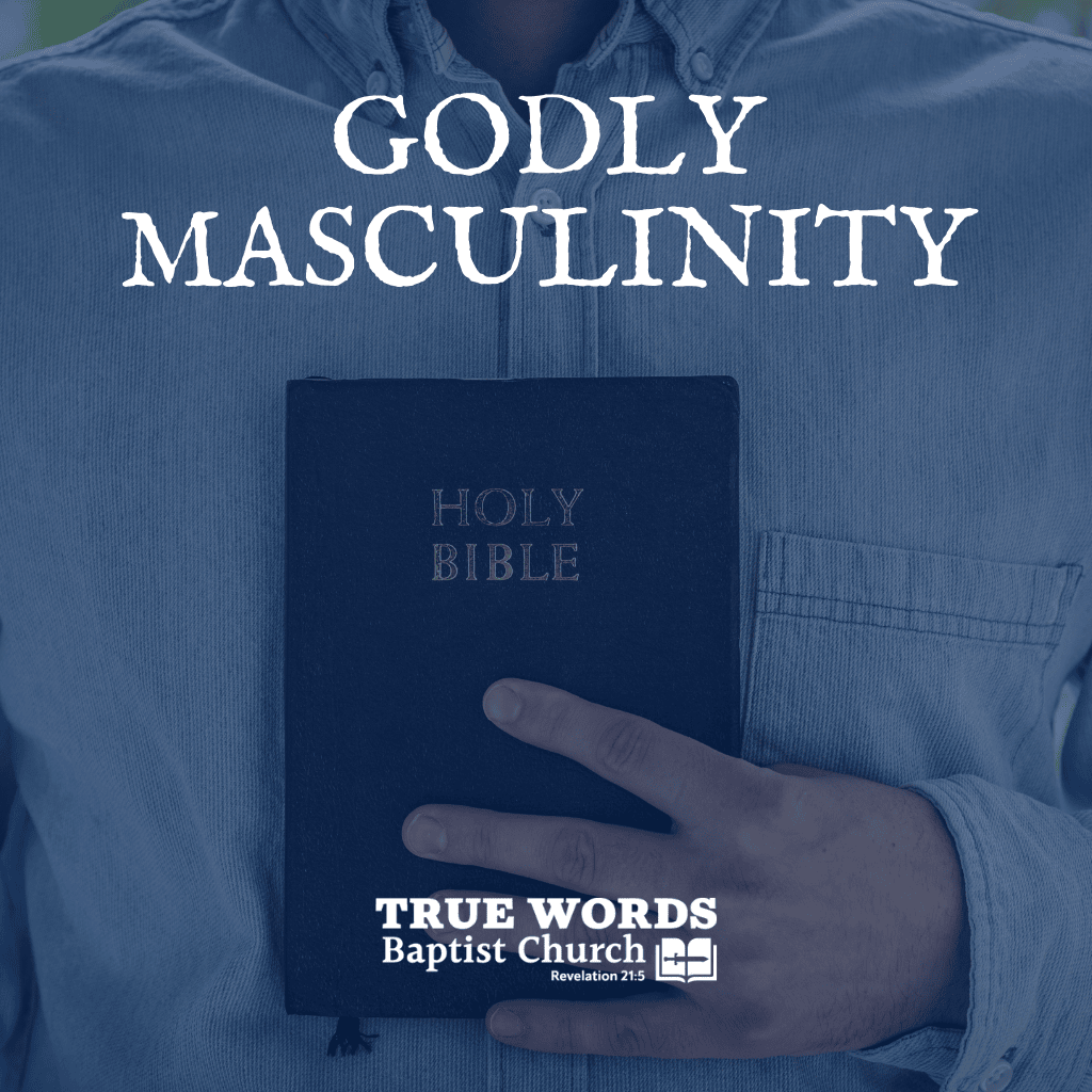 Godly Masculinity (KJV)