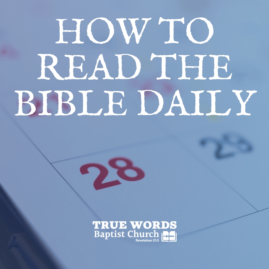 How to Read the Bible Daily