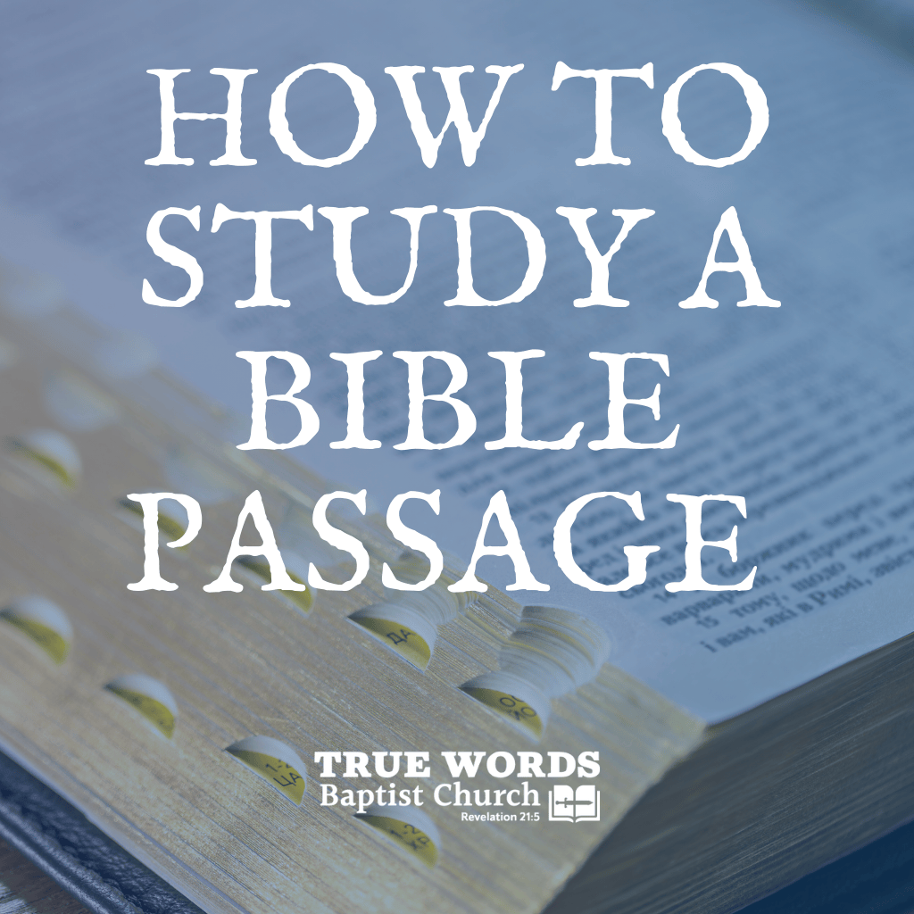 How to Study a Bible Passage 