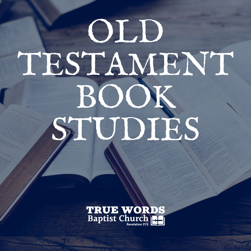 Old Testament Book Studies (KJV)