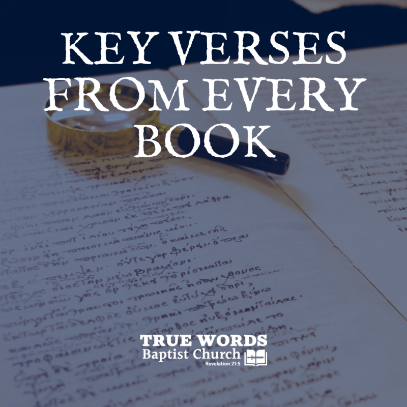Key Scriptures Books Of The Bible Explained: 8 Powerful KJV Guides To Master Every ...