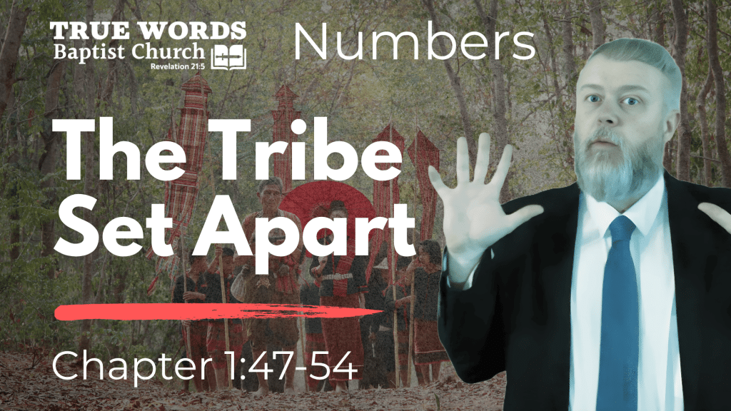 The Tribe Set Apart: Numbers 1:47-54 Explained